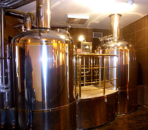 microbrewery 2 vessel